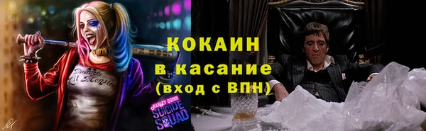 гашик Осташков