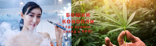гашик Осташков