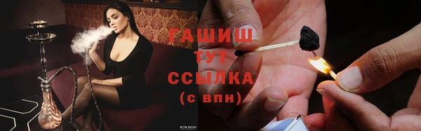 гашик Осташков