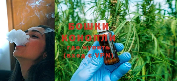 гашик Осташков