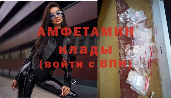 гашик Осташков