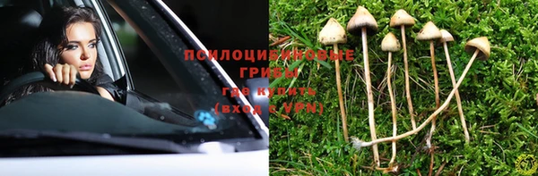MESCALINE Осинники