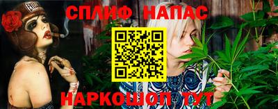 гидропоника Гай
