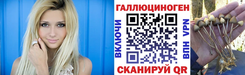 Галлюциногенные грибы Cubensis Торжок