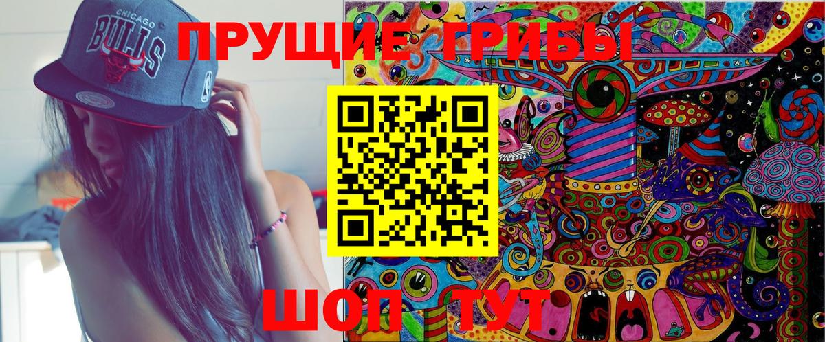 Торжок  Псилоцибиновые грибы прущие грибы  Галлюциногенные грибы мицелий  Вход с VPN 
